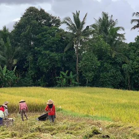 Umah Tirta Estate