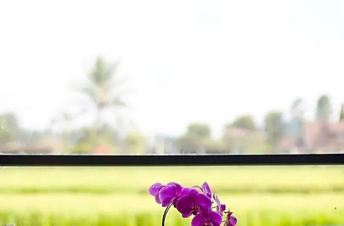 Umah Tirta Estate Hotel Ubud
