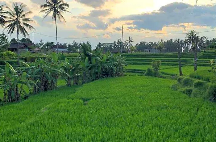Umah Tirta Estate 3*