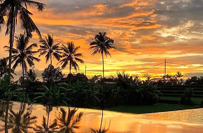 Hotel Umah Tirta Estate 3*